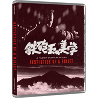 Aesthetics of a Bullet (Limited Edition)
Aesthetics of a Bullet (Limited Edition)