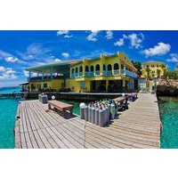 Buddy Dive Resort.