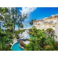 Bougainvillea Barbados.