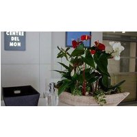 Quality Hotel Centre Del Mon - Perpignan.