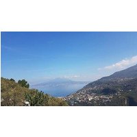 Bed & Breakfast Sunflower.