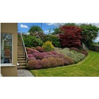 Ardilaun Guesthouse.