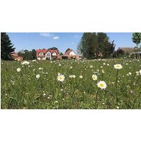 Alwine - Landhaus an den Spreewiesen.