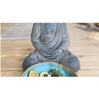 Eco Aparthotel The Dreamers s Club.