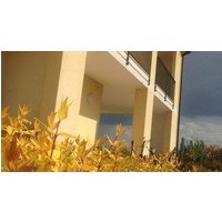 Bed and Breakfast Daniel.