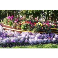 Ladyknowe Apartment.