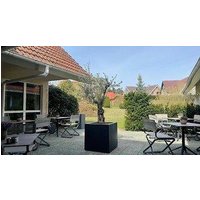 Broda am Tollensesee.