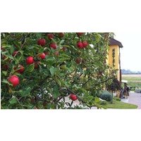 Am Müritz-Nationalpark.