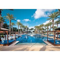 The Cove at Atlantis.