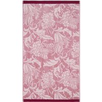 Product photograph of Ted Baker Baroque Hand Towel Dusky Pink from Bedeck Home