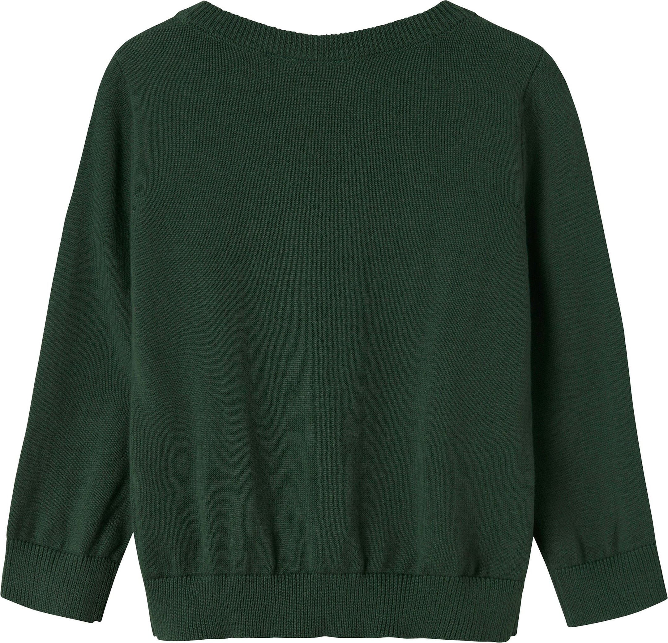 Name It Pullover Dinos