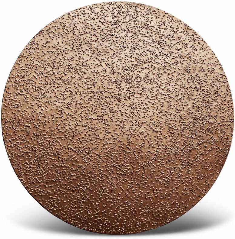 MENZER Carbide Hartmetallsplitt-Klett-Scheibe, 225 mm, f. Trockenbauschleifer, Hartmetallsplitt (1 Stk.) fein (ca. K 36)