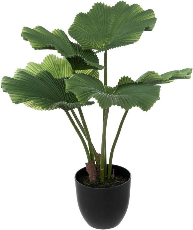 Atmosphera - Künstliche Palme - Zementtopf - H65 cm créateur d'intérieur