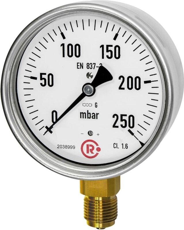 Riegler Kapselfedermanometer, G 1/2 radial unten, 0 - 100 mbar, Ø 100