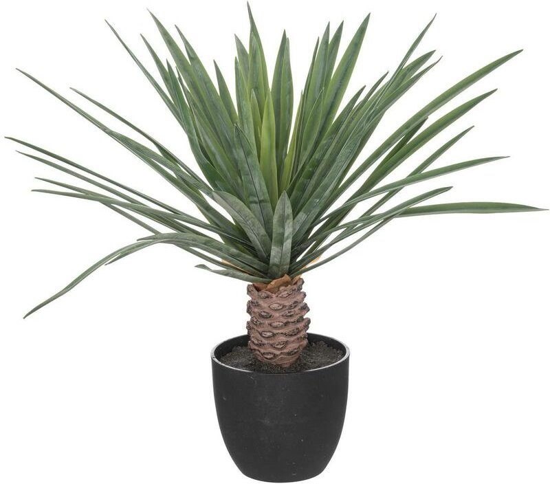 Atmosphera - Künstliche Palme Rivi Zementtopf - H52 cm créateur d'intérieur