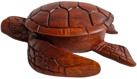 Schildkröte mit Deckel