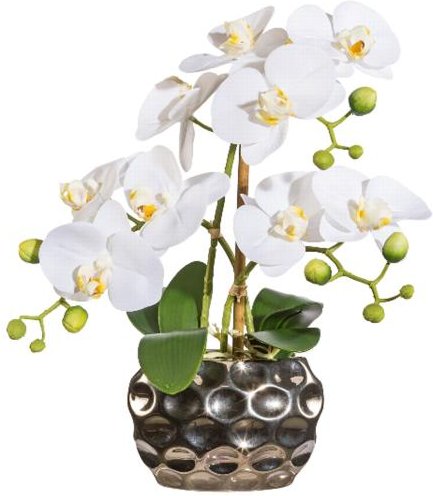 Orchidee in Ovalvase silber