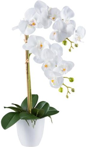 Orchidee 56cm weiß