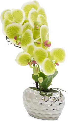 Orchidee grün in Ovalvase