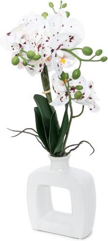 Orchidee in Keramikvase weiß