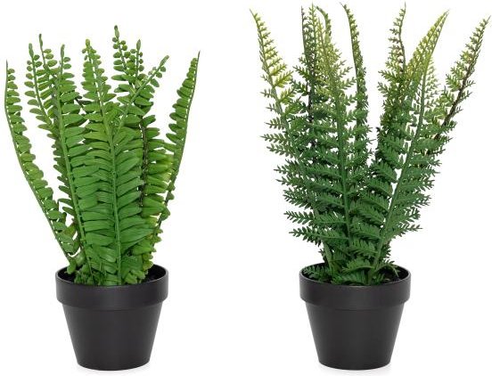 2er Set Farn grün im Topf