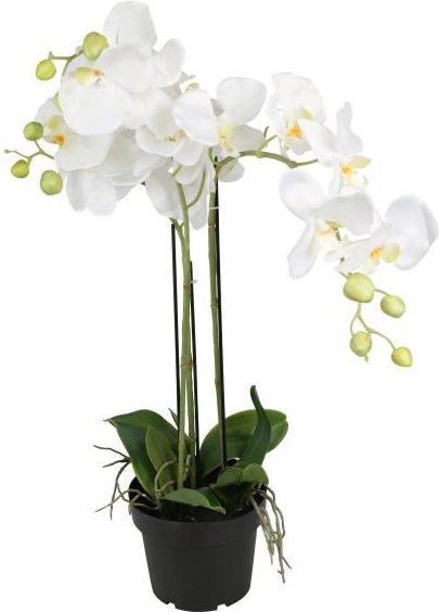 Orchidee 62cm weiß