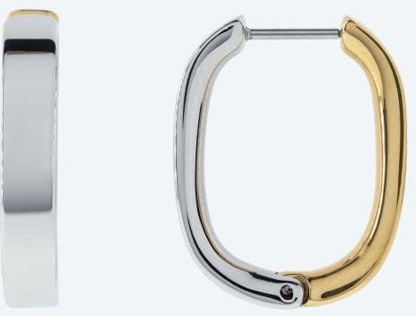 Steelura Creolen bicolor