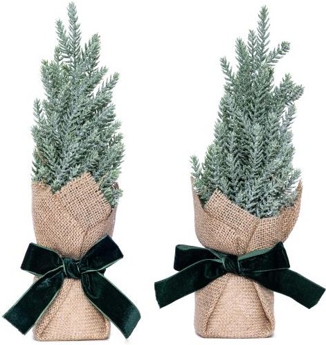 Koniferenbäumchen im Jutesack 2er Set