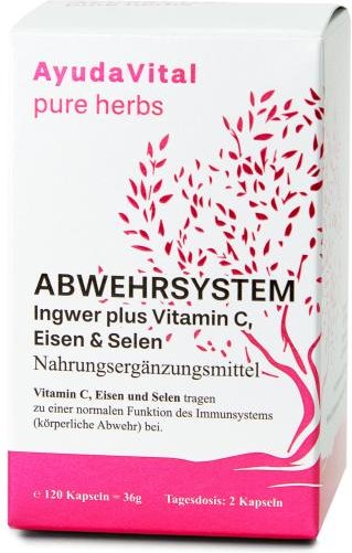 AYUDA VITAL Abwehrsystem- Ingwer 120 Kapseln