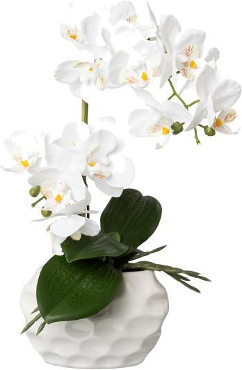 Orchidee weiß 33cm im Keramiktopf
