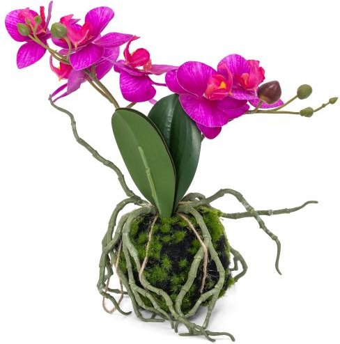 Orchidee lila hängend