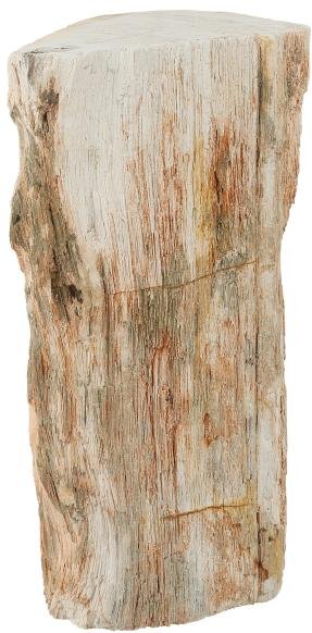 Fossiles Holz teilpoliert 6 kg