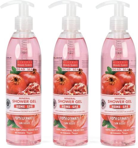 MBS 3x300 ml Set SG Pomegranate