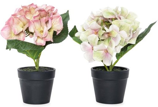 Hortensien 2er Set 20cm