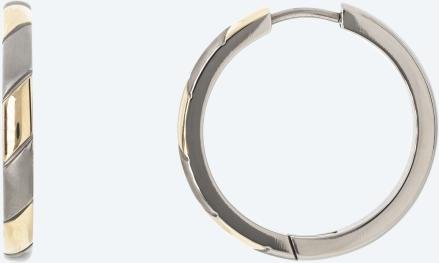 Titan Creolen bicolor