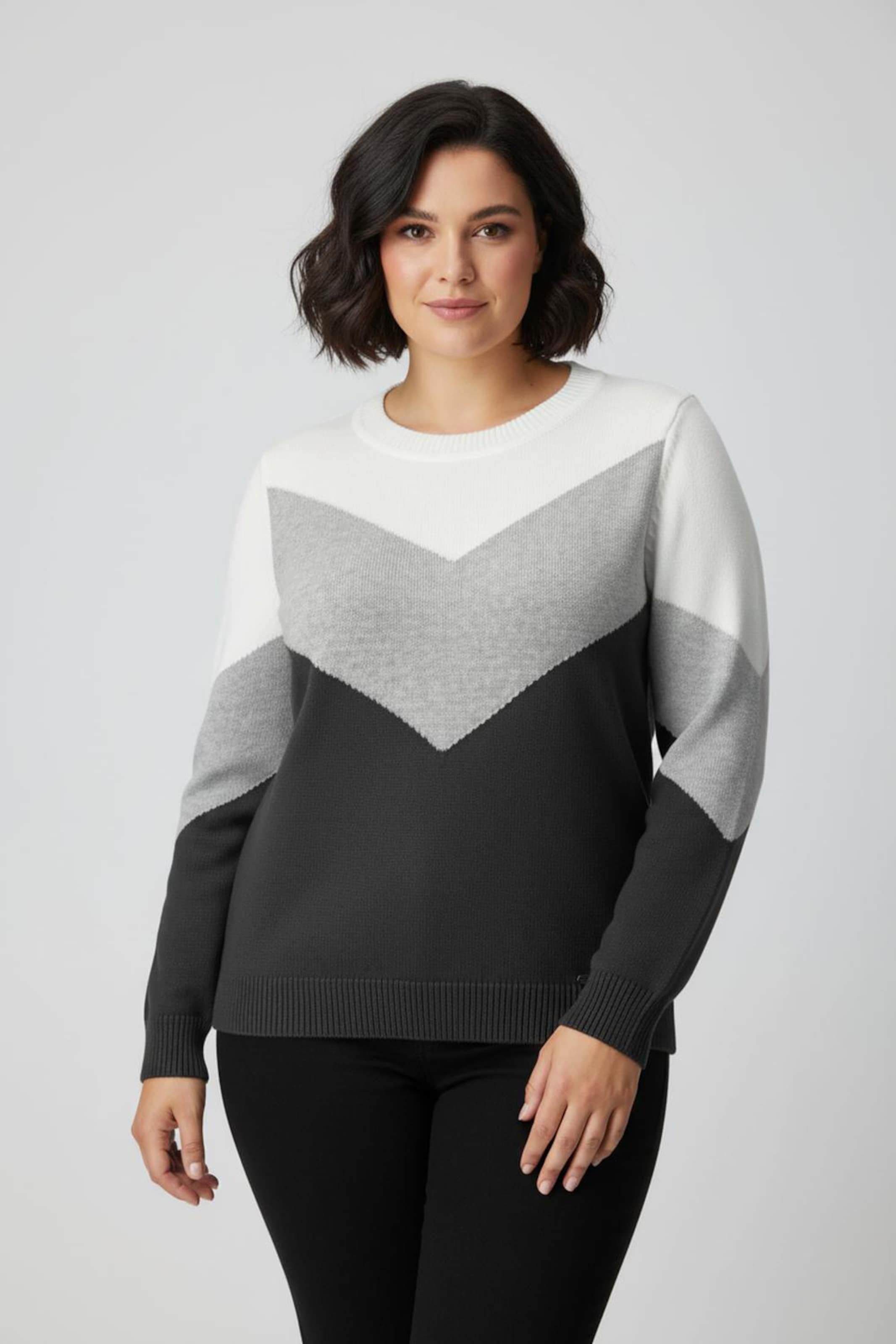 Sheego Rundhalspullover mit Colour-Blocking