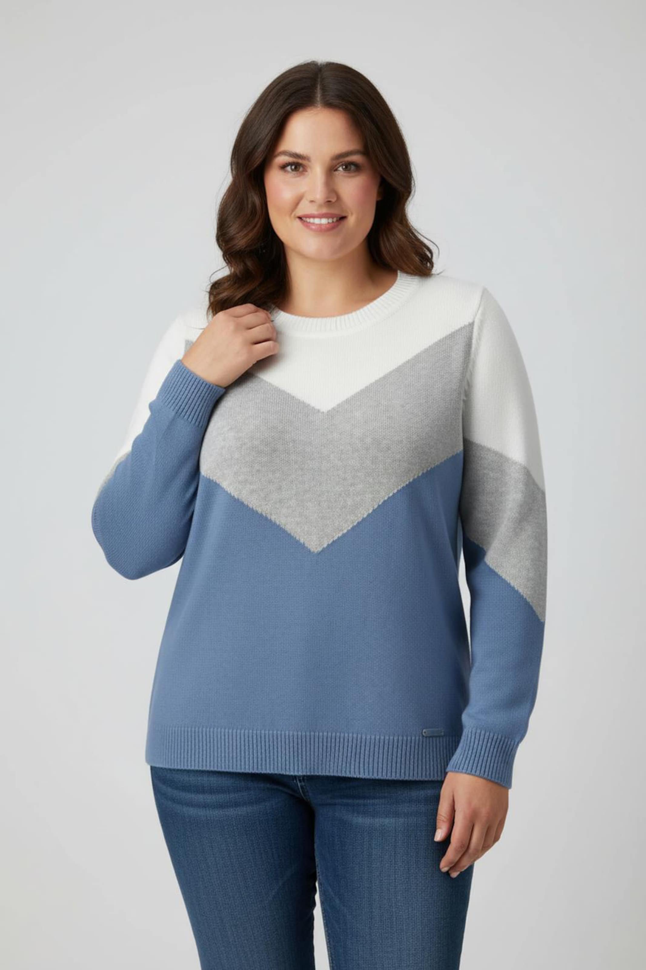 Sheego Rundhalspullover mit Colour-Blocking