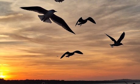 2x 60 Min. Online-Coaching mit Thema nach Wahl