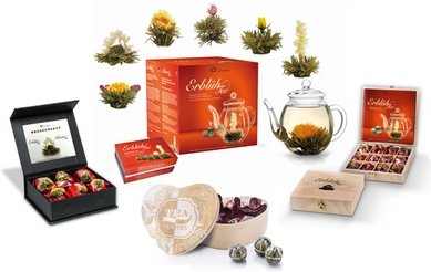 Creano ErblühTee: 12er-Set weißer Tee in 6 Sorten mit Holz-Box