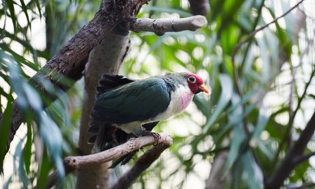 Eine 60-minütige Ganzkörpermassage