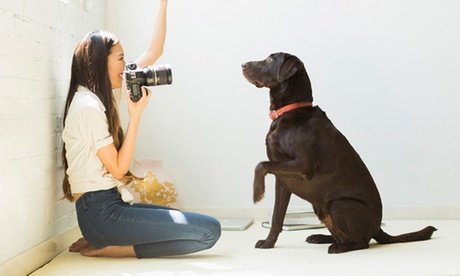 Herunterladbarer Online-Kurs: Hunde-Portraits fotografieren – Fotoshooting im Studio (per Download)