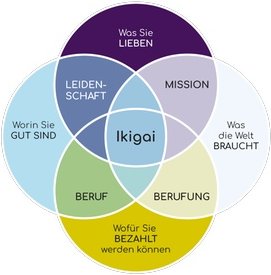 360° IKIGAI Online Coaching (90 Min. Intensivsitzung)
