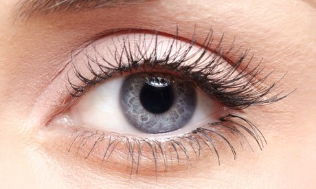 Inkl. Lash-Botulinum: 60 Min. Lash-Laminierung mit Keratin inkl. Wimpernfärbung