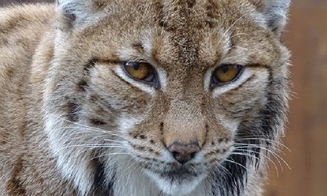 1 Tageskarte für 2 Personen