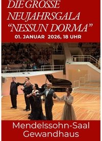 1 Sitzplatz-Ticket der PK 3 - Die große Neujahrsgala 2026 Nessun Dorma am 01.01.2026 um 18 Uhr