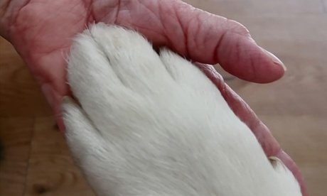 Professionelle Trauerbegleitung