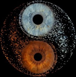 Für 1 Person (mit Effekt): Iris-Fotoshooting inkl. 2 digitale Dateien & 1 Foto-Geschenk