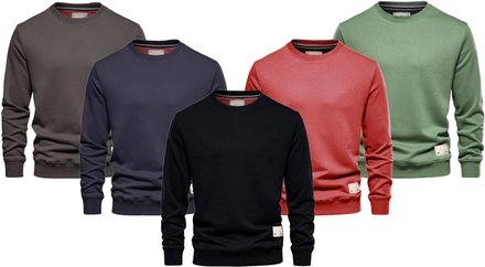 Herren-Pullover mit Rundhalsausschnitt: Holzkohle/Gr. L