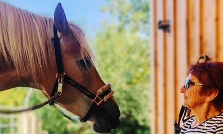 10 Einheiten à 60 Min. achtsame Pferdezeit für Kinder Jugendliche oder Erwachsene