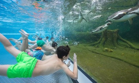 Tages-Familienkarte für 2 Erwachsene und 1 Kind (4-15 Jahre) für die Badewelt